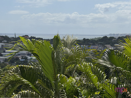 vente maison Ducos