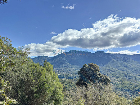 vente terrain Tavaco