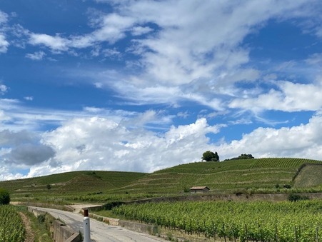 vente terrain Larnage