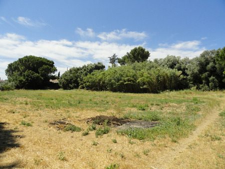vente terrain Saint-gilles