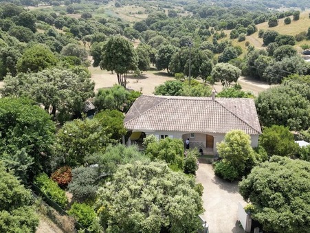vente maison Appietto