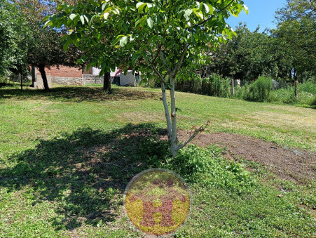 location maison Saint-junien