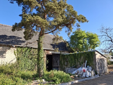 vente maison Saint cyr sur loire