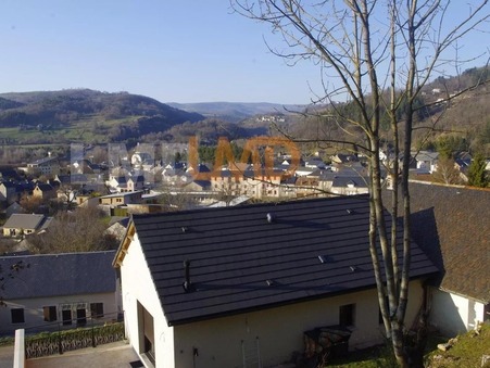 vente terrain Banassac