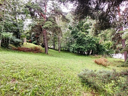 vente terrain Besse-et-saint-anastaise