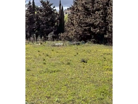vente terrain Maraussan