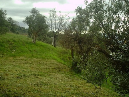 vente terrain Mougins