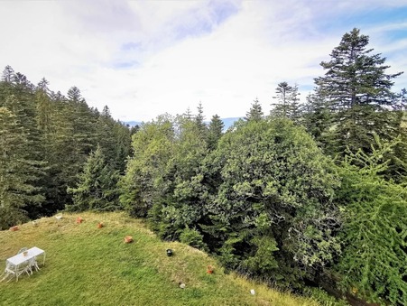 vente appartement La bollène-vésubie