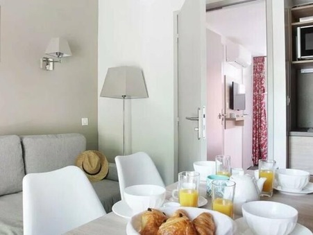vente appartement Arles