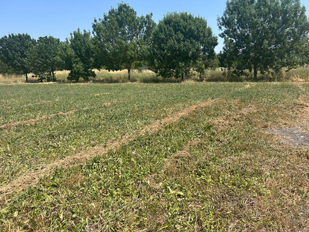 vente terrain Mornac sur seudre