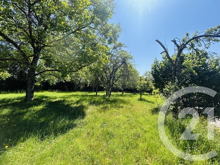 vente terrain Eyjeaux