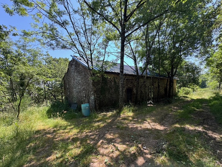 vente maison Camarès