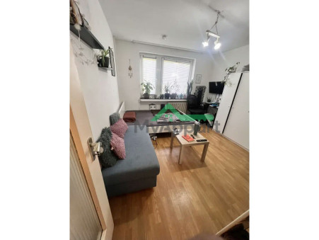 location appartement Lyon 2eme arrondissement