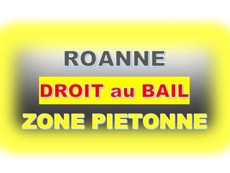 vente local Roanne
