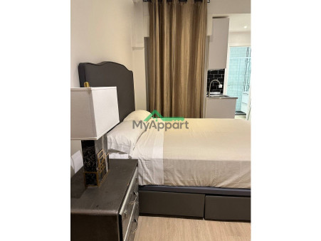 location appartement Paris 15eme arrondissement