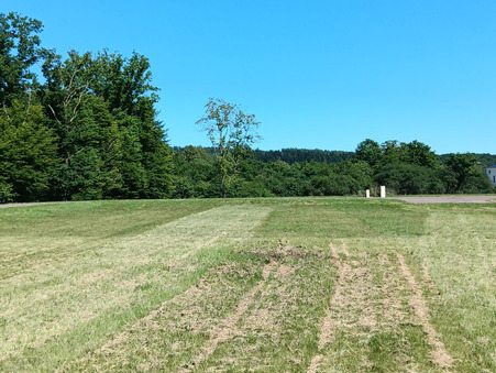 vente terrain Mélisey