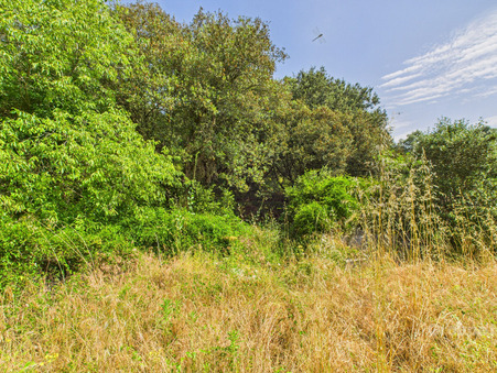 vente terrain La capelle et masmolene