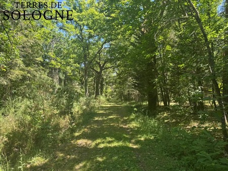 vente propriete Ligny-le-ribault