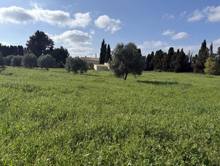 vente maison Argeliers