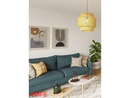 vente appartement Villeneuve loubet