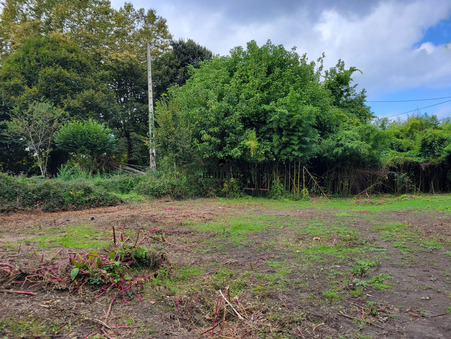 vente terrain Nay