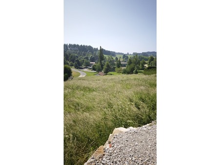 vente terrain Saint didier en velay