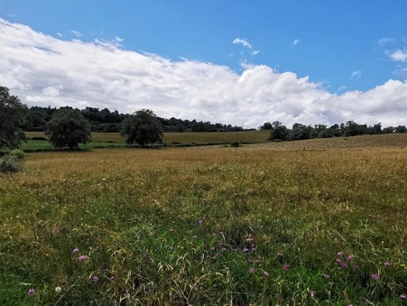 vente terrain Roanne
