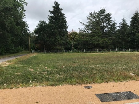 vente terrain Bray en val