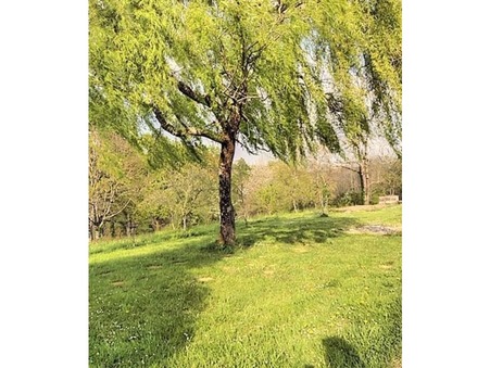 vente terrain Morlanne