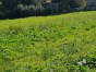 immobilier anceaumeville