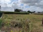 immobilier averdon