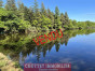 immobilier confolens