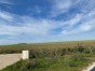 immobilier ouzouer le marche
