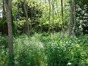 immobilier saint andre de cubzac