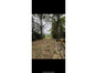 immobilier bonnefont