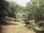 immobilier montegrosso