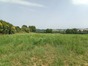 immobilier ciadoux