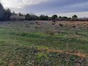 immobilier portiragnes