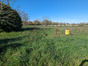 immobilier coulon