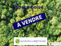 immobilier querrien