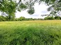 immobilier saint martory