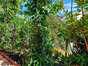 immobilier banyuls sur mer