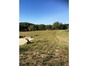 immobilier paussac et saint vivien