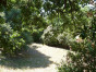 immobilier sainte tulle