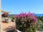 immobilier sari solenzara