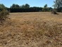 immobilier saint seurin sur l isle