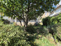 Maison à vendre Juigne Sur Sarthe