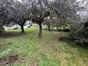 immobilier charvonnex