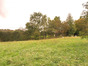 immobilier arcine