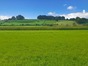 immobilier bidache